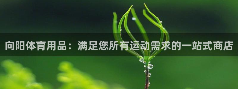 欧陆娱乐怎么注册会员账号啊：向阳体育用品：满足您所有