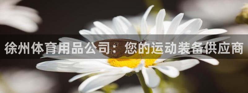 欧陆娱乐图片：徐州体育用品公司：您的运动装备供应商