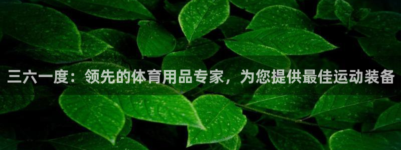 欧陆娱乐官网：三六一度：领先的体育用品专家，为您提供