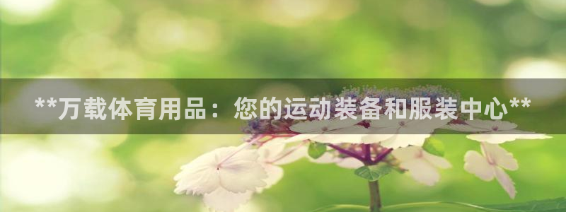 欧陆娱乐平台咋样:**万载体育用品:您的运动装备和服装中心*