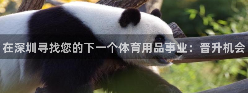 欧陆娱乐挂机项目怎么弄:在深圳寻找您的下一个体育用品事业:晋