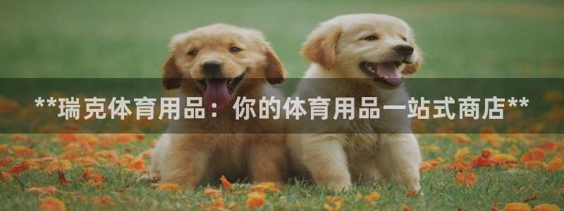 欧陆娱乐官网首页下载:**瑞克体育用品:你的体育用品一站式商