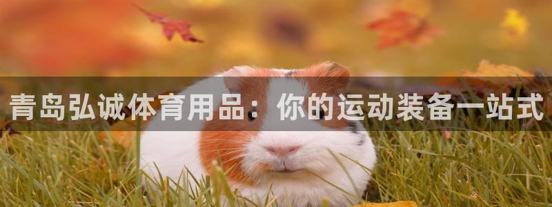 欧陆娱乐是正规平台吗安全吗:青岛弘诚体育用品:你的运动装备一